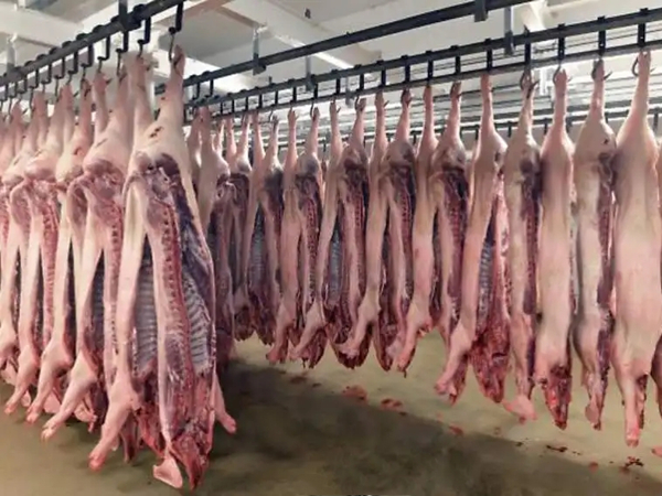 屠宰場(chǎng)臭氣處理方法